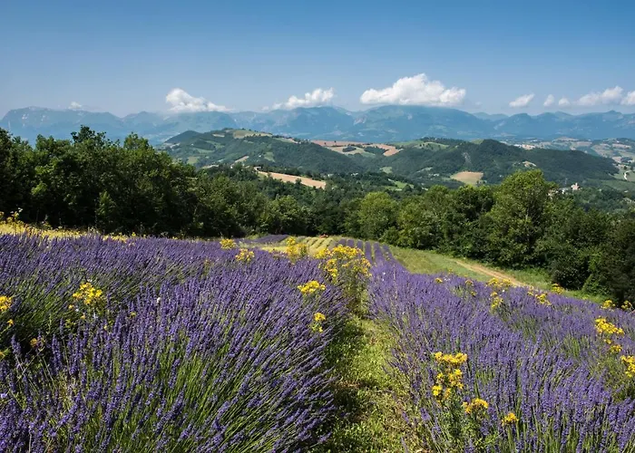 Agriturismo Amargi